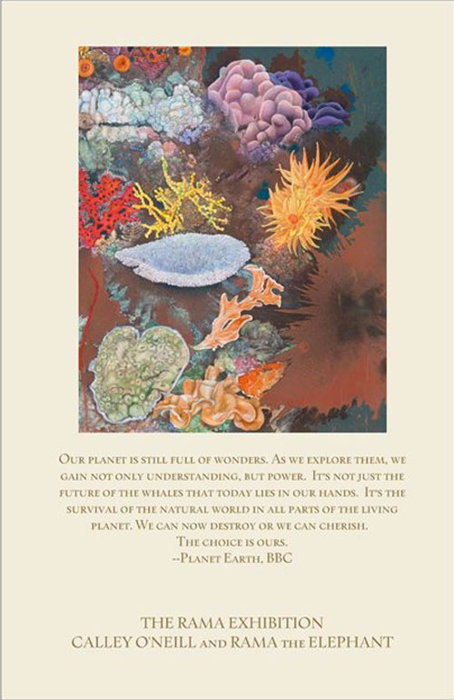 "Our planet is still full of wonders.  As we explore them, we gain not only understanding, but power.  It's not just the future of the whales that today lies in our hands.  It's the survival of the natural world in all parts of the Living Planet.  We can now destroy or we can cherish.  The choice is ours". Planet Earth BBC