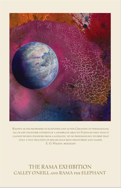 "Known as the biosphere to scientists and as the Creation to theologians, all of life together consists of a membrane around Earth so thin that it cannot be seen edgewise from a satellite, yet so prodigiously diverse that only a tiny fraction of species have been discovered and named."  E. O. Wilson
