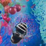 Detail of the bee painting by Calley O’Neill and Rama the elephant